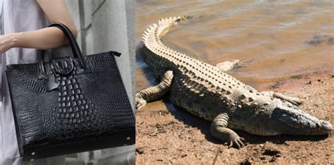 louis vuitton use animal skin|louis vuitton animal welfare.